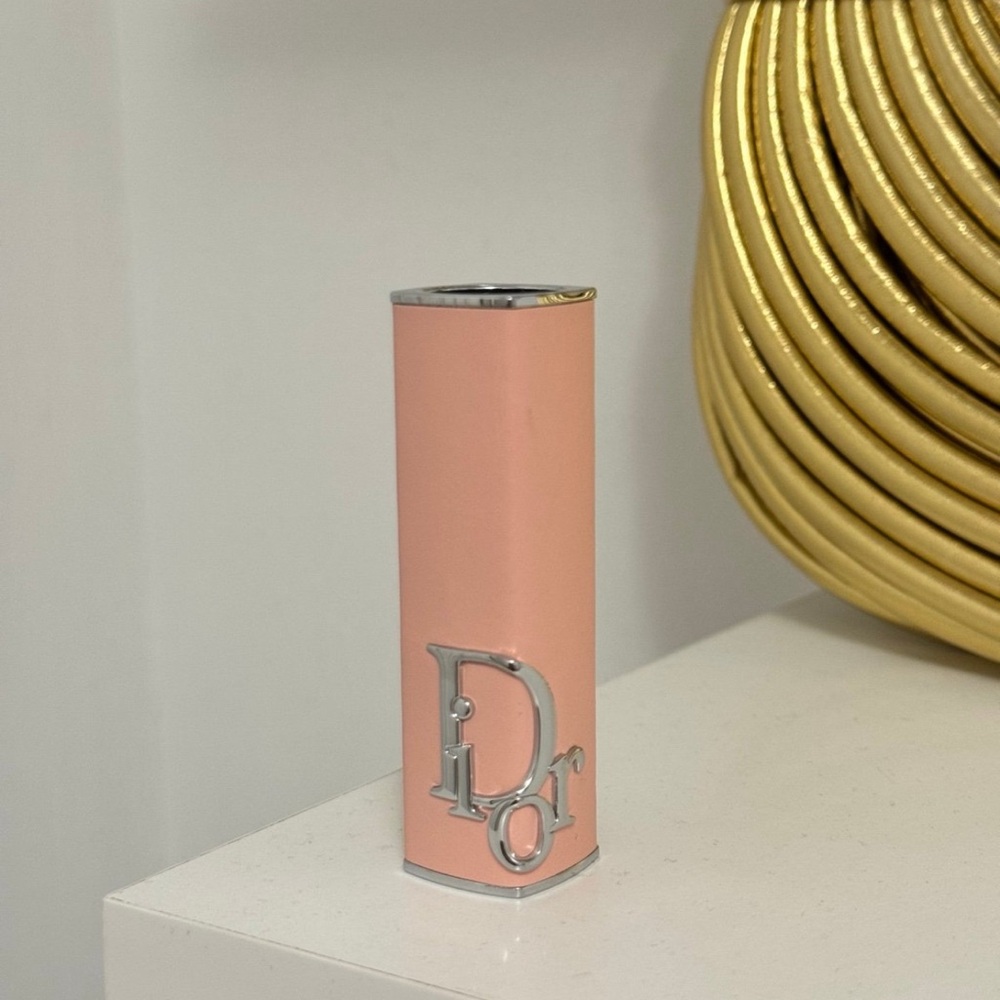 Dior Addict Lip Case